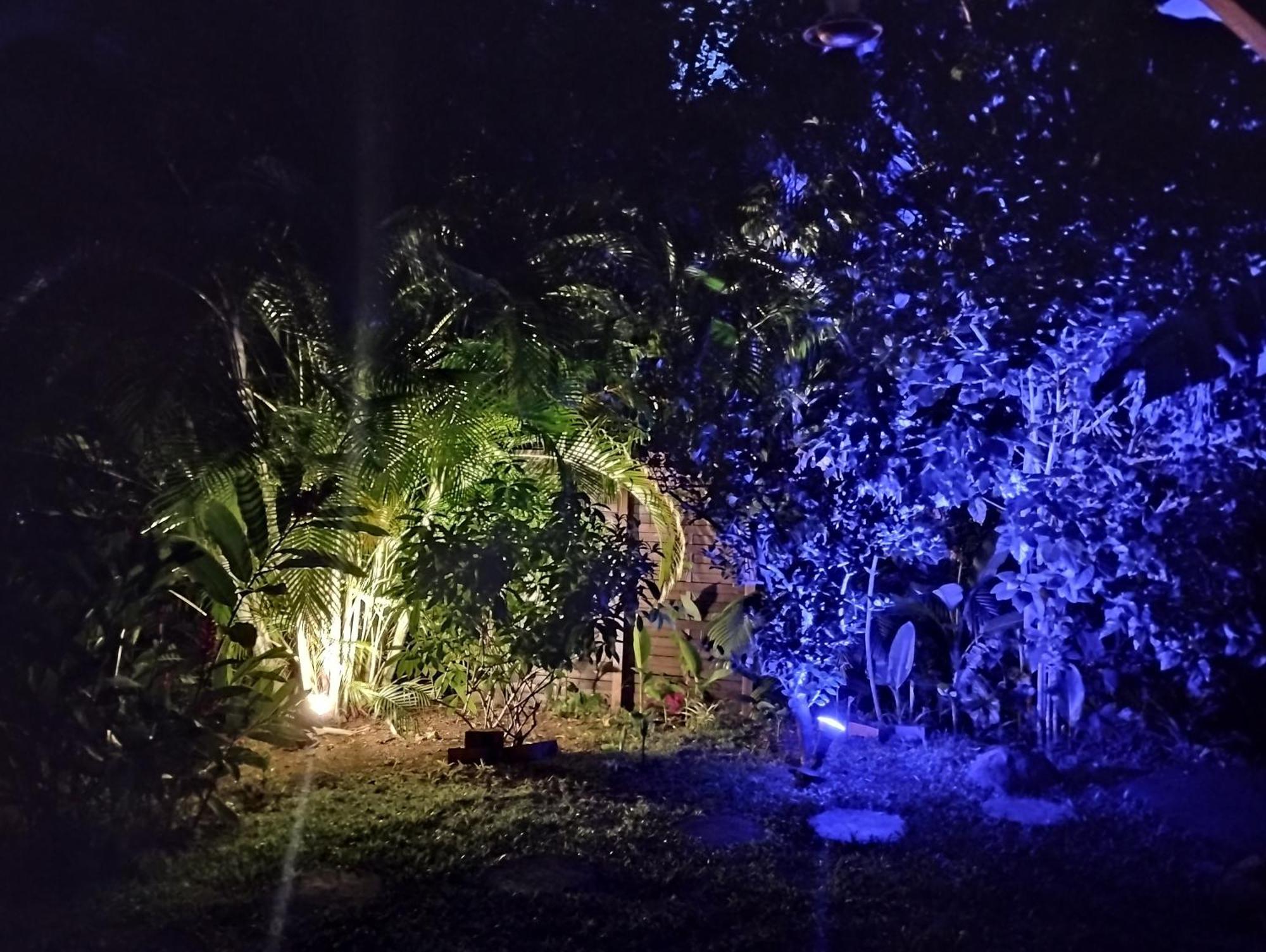 Blue Kaz Caraib Villa Pointe-Noire Eksteriør billede